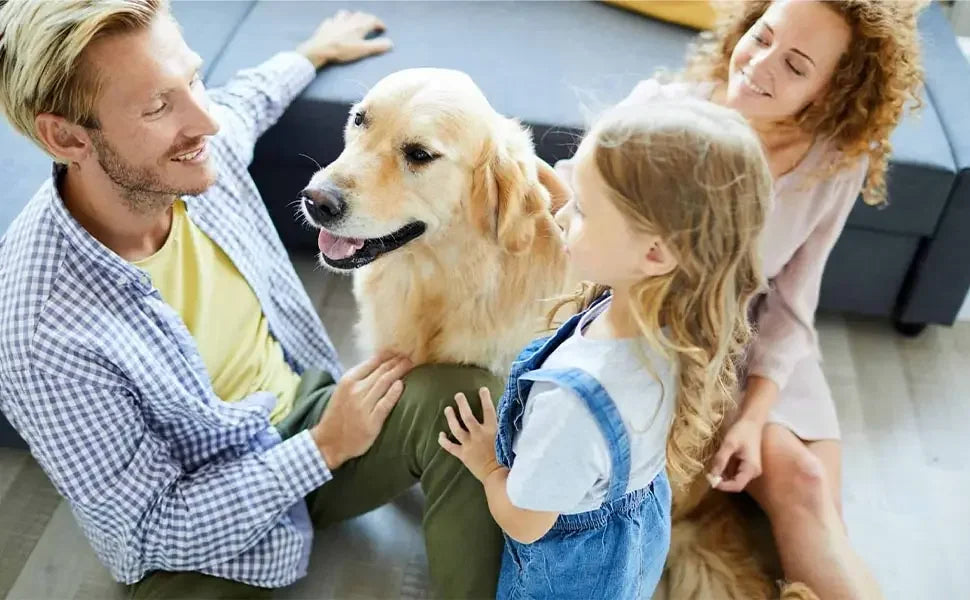 Anti Barking Devices, Auto Dog Bark Deterrent Devices with 3 Levels, Rechargeable Dog Silencer Sonic Barking Deterrent, Ultrason