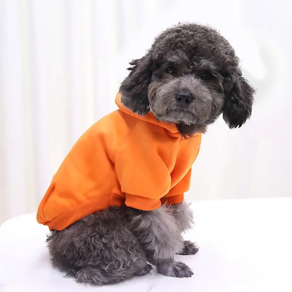 Puppy Pet Hooded Sweatshirt Autumn Winter Two-legged Pocket Cat Dog Clothes