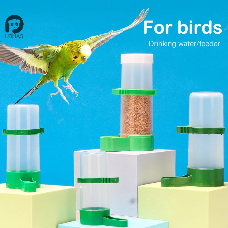 Bird Feeder Water Drinker Automatic Drinking Fountain Pet Parrot Cage Bottle Drinking Cup Bowls Pet Bird Supplies Dispenser