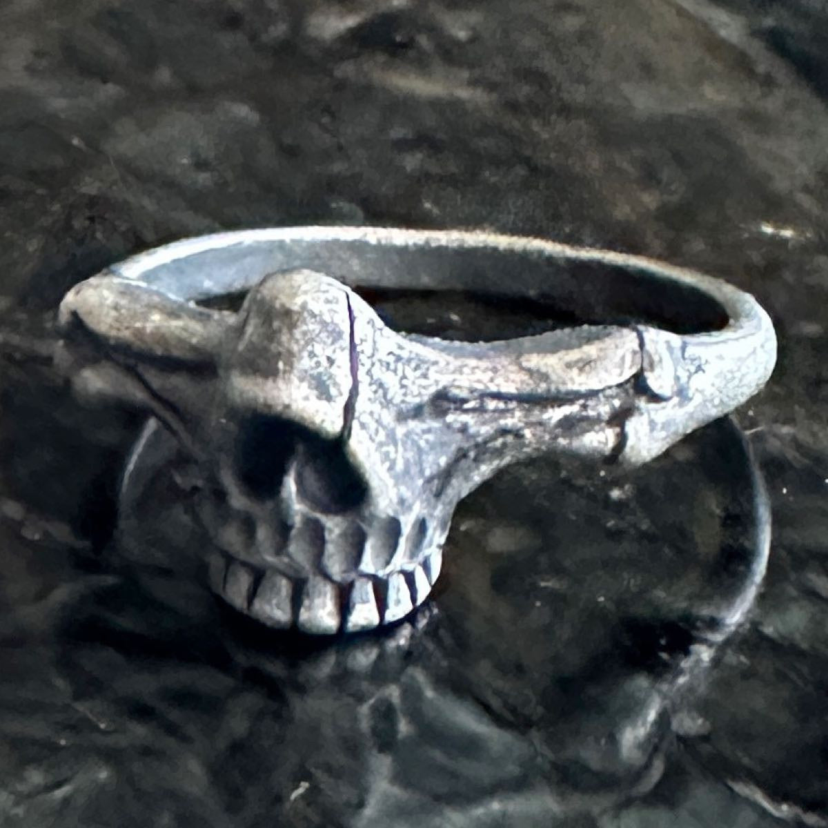 Jawbreaker Skull Ring (#429)
